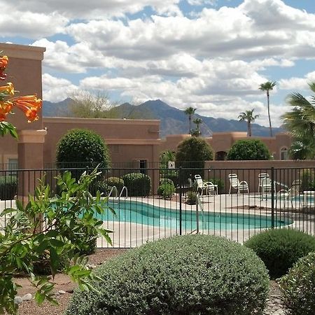 Inn At San Ignacio Condo Hotel 绿谷 外观 照片